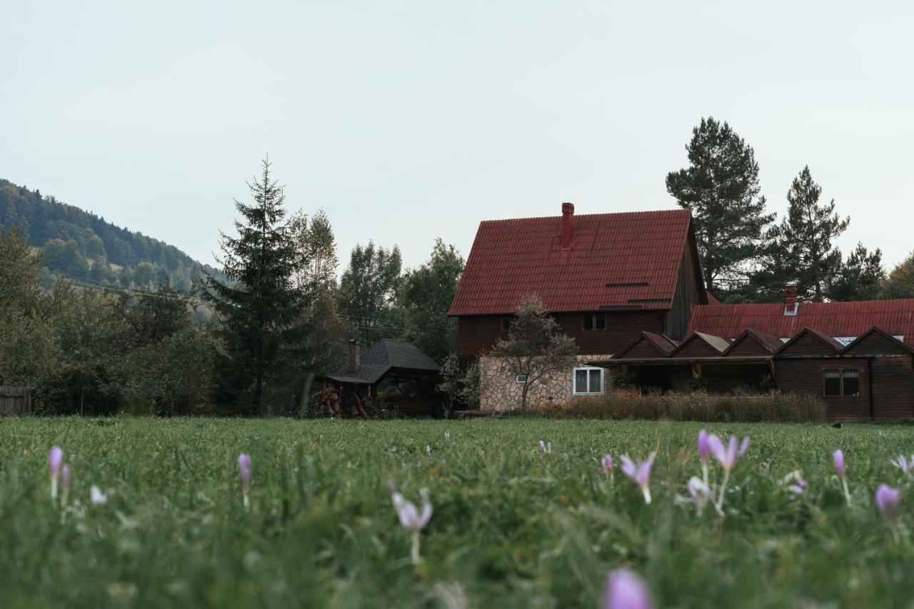 Pensiunea Poiana De Vis Sucevita Exterior photo