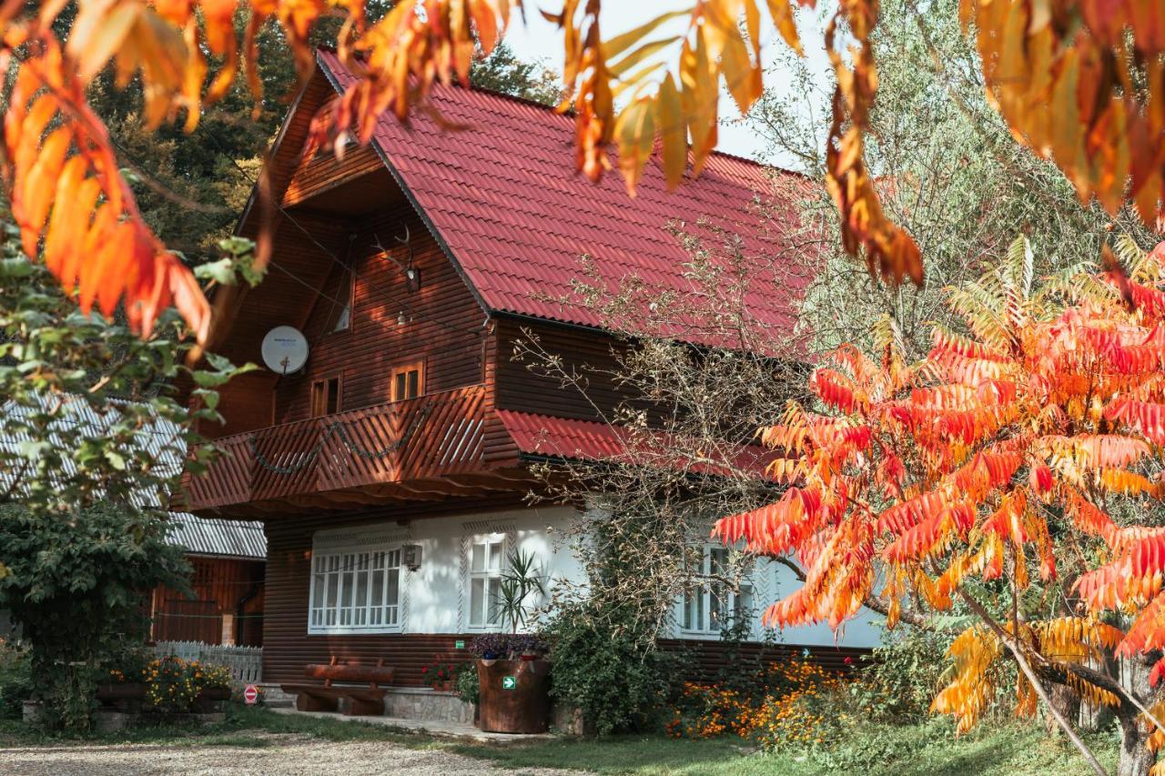 Pensiunea Poiana De Vis Sucevita Exterior photo