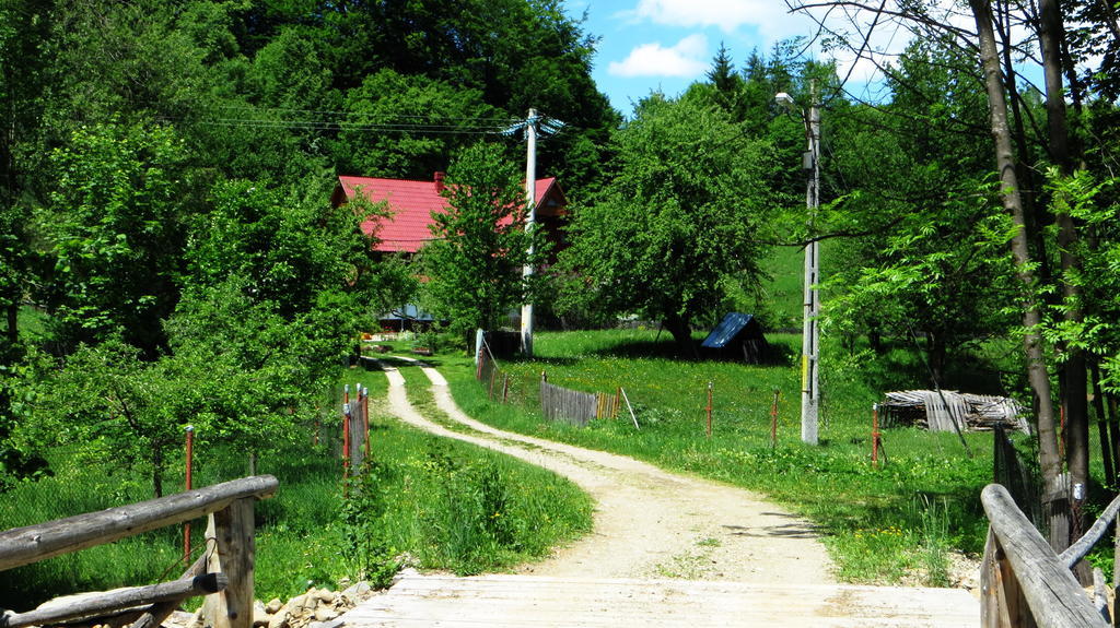 Pensiunea Poiana De Vis Sucevita Exterior photo