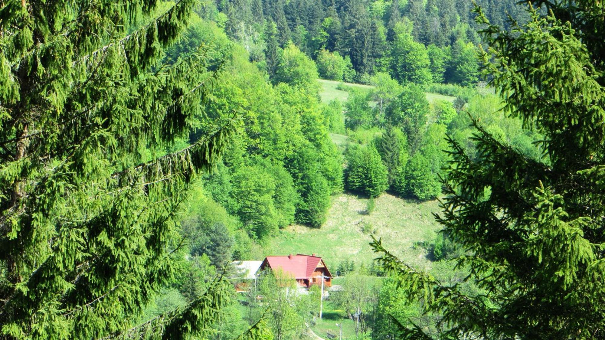 Pensiunea Poiana De Vis Sucevita Exterior photo