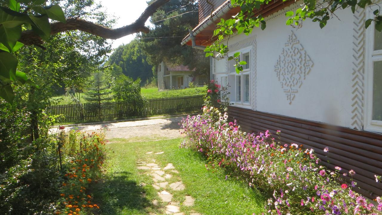 Pensiunea Poiana De Vis Sucevita Exterior photo